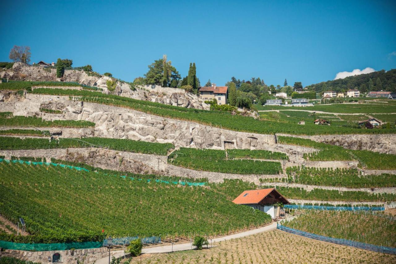 Auberge De Rivaz 외부 사진